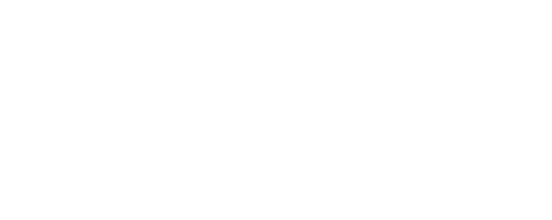 Lightspeed systems-white