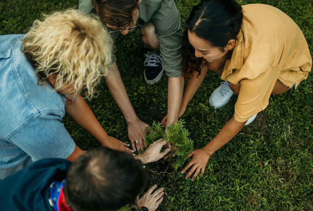 Sustainability page - image 3